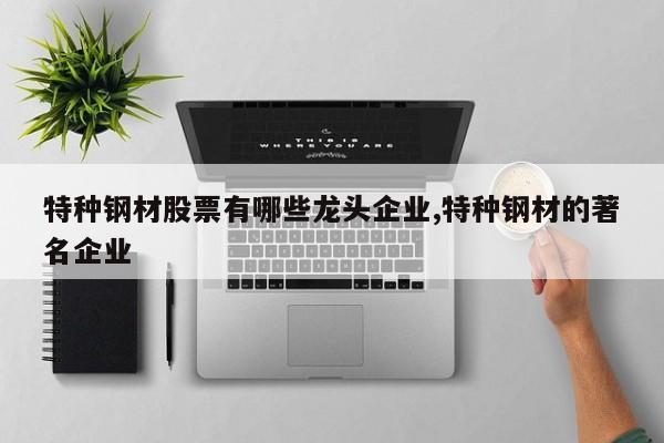 特种钢材股票有哪些龙头企业,特种钢材的著名企业